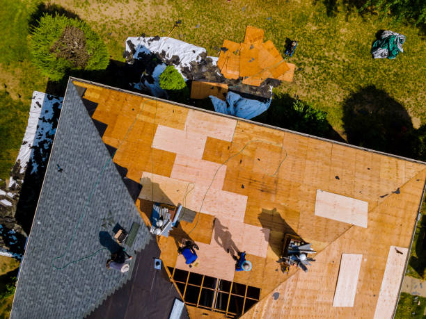 Best Roof Gutter Cleaning  in Greenock, PA